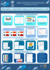 P11 Polarization, polarization doping and multiquantum wells